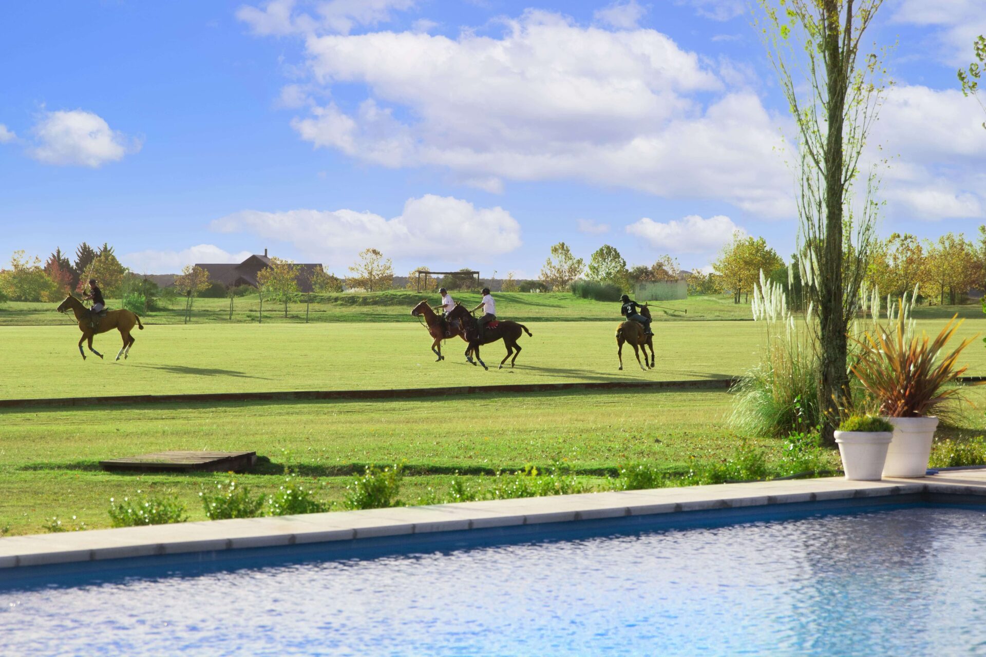 CARMELO GOLF- COLONIA- LOTE 41- SUPERFICIE 3.367 m2 USD 64.965 PROMOCIÓN (092291854) INMOBILIARIA VTF (emprendimiento de Vitrium Capital)